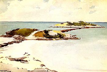 Color Image
